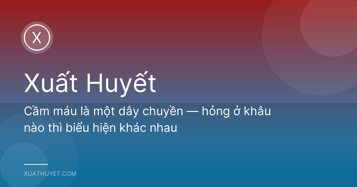 Cầm máu là một dây chuyền — hỏng ở khâu nào thì biểu hiện khác nhau