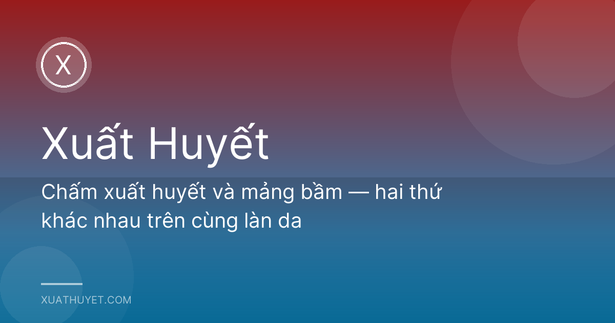 Chấm xuất huyết và mảng bầm — hai thứ khác nhau trên cùng làn da