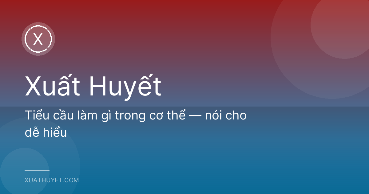 Tiểu cầu làm gì trong cơ thể — nói cho dễ hiểu